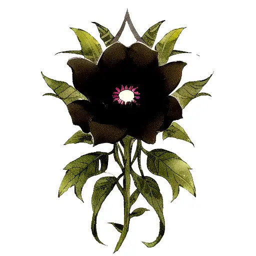Black Dark Flower In Rectriangle