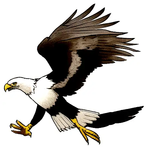 Eagle