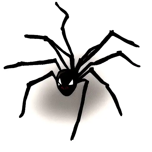 Spider On The Brush Painted In Black