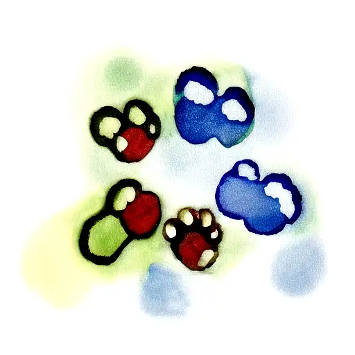 Dog Paw Print Water Color
