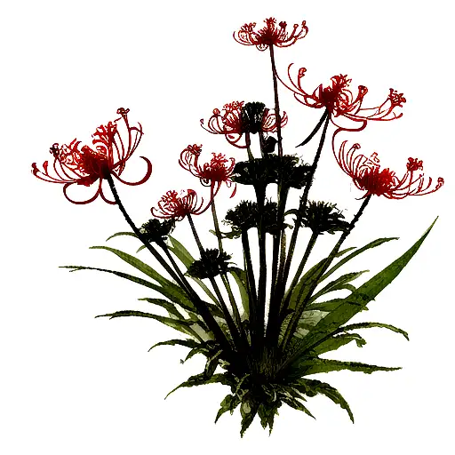 Juuzou Scar With Spider Lily Flowers From It In The Shoulder Area