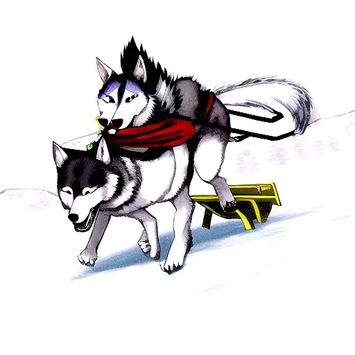 A Fierce And Determined Husky Pulling A Sled Through A Snowy Landscape