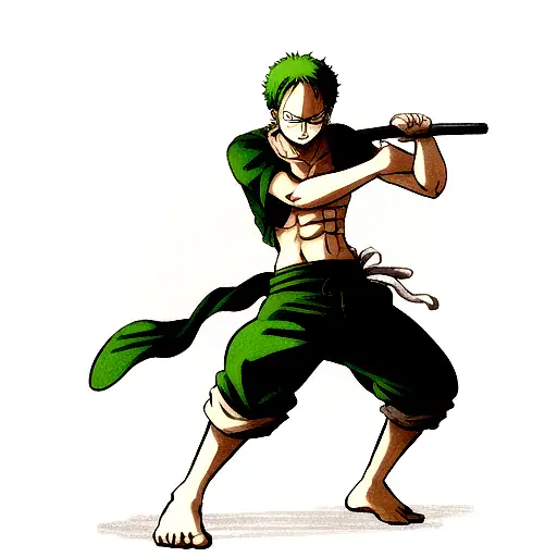Zoro One Piece Fighting