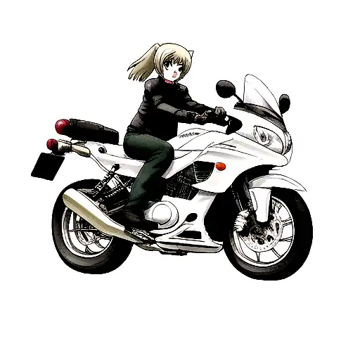 Gray Tabby Cat With White Driving Motorcycle