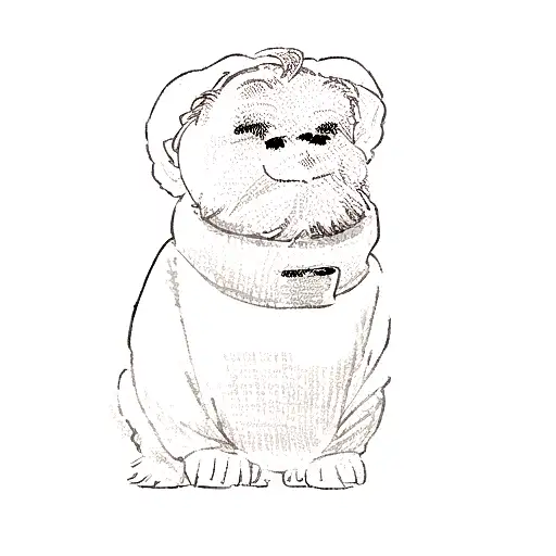 A Smiling Dark Grey Schnauzer Wearing A Sweater