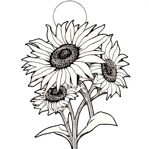 A Sunflower And Moon Intertwined