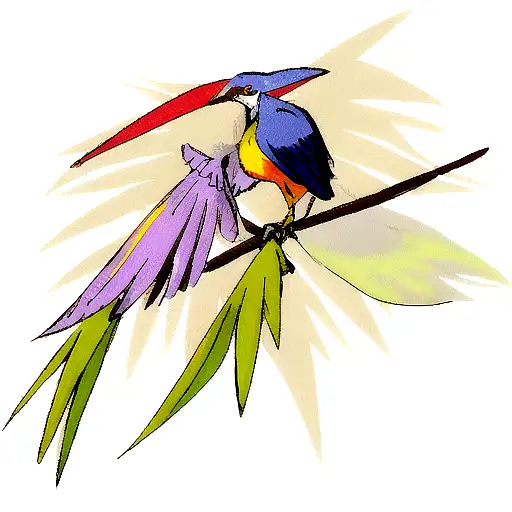 Bird Of Paradise
