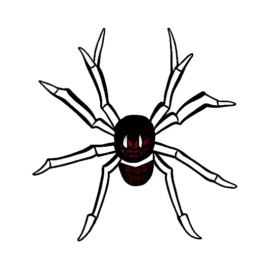 Spider 7