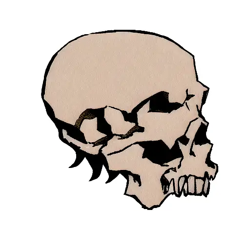 Skull