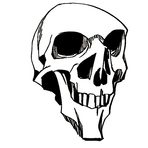 Skull