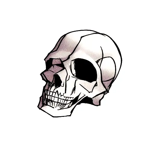 Anatomical Skull