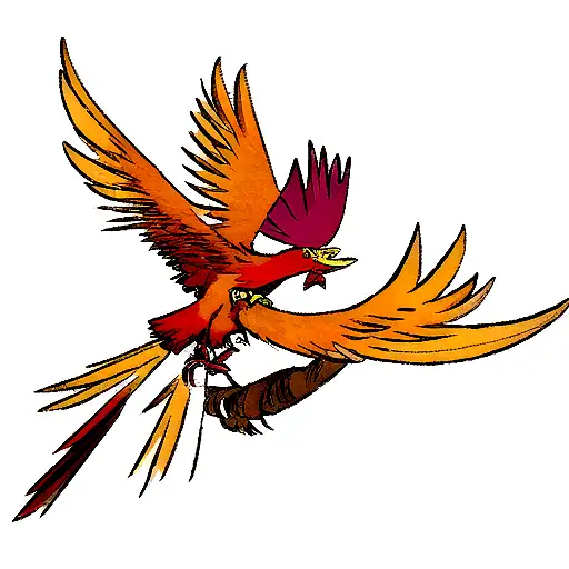 A Manly Phenix Bird Fighting
