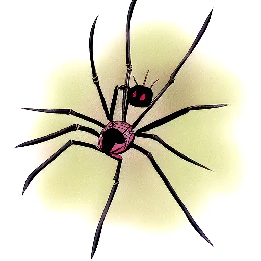 Spider