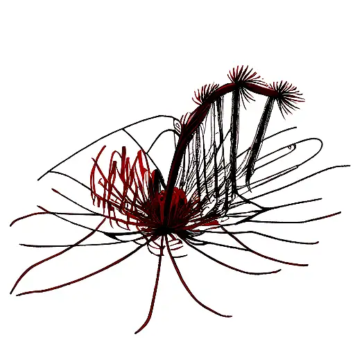 Red Spider Lily With A Centipede Wrapping Around The Flower