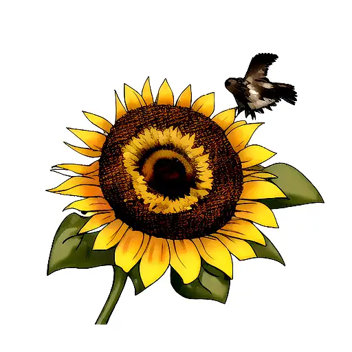 Sunflower And Birds