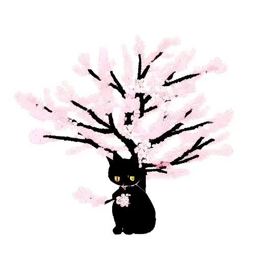 Black Cat In Sakura Flowers