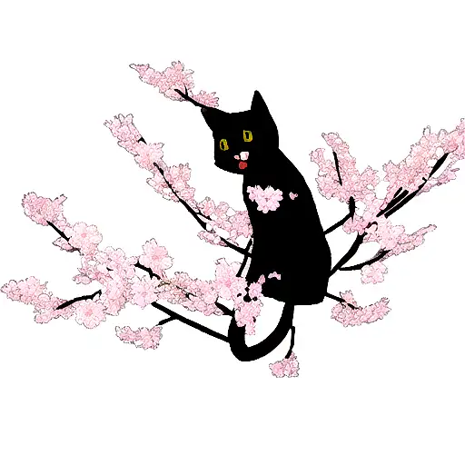 Black Cat In Sakura Flowers