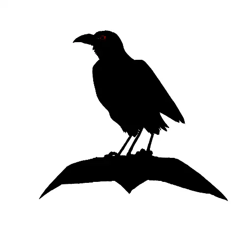 Crow With Sharing An Eye