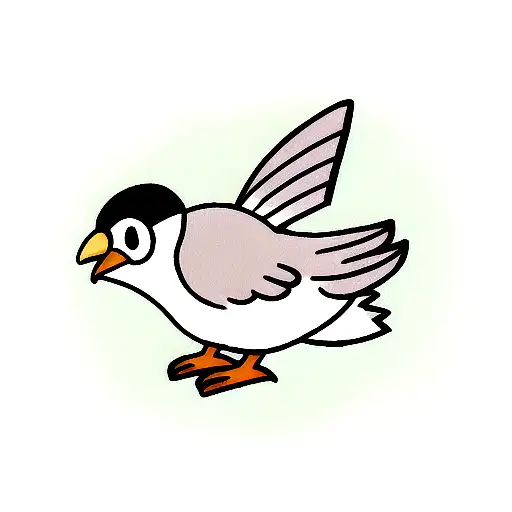 Cartoon Pigeon