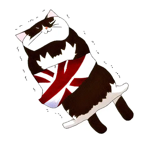 British Cat Is Sleeping