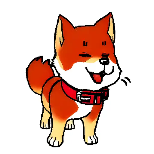 Shiba Inu Red Dog With A Collar Aki