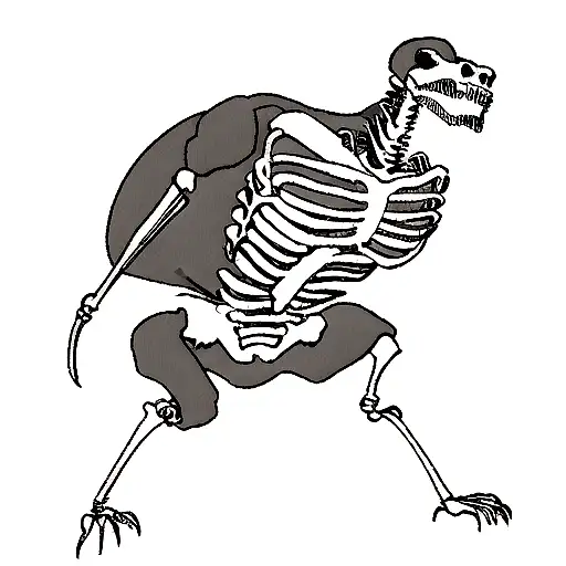 T Rex Skeleton
