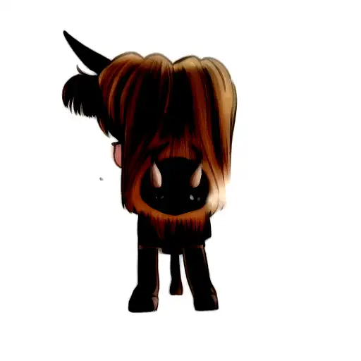 A Highland Cow