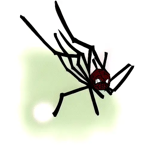 Spider Coming Down On Web