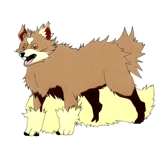 Pomerian Dog Like A Warrior King