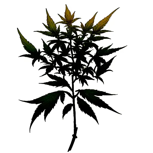 Rose Stem With Cannabis Leaves