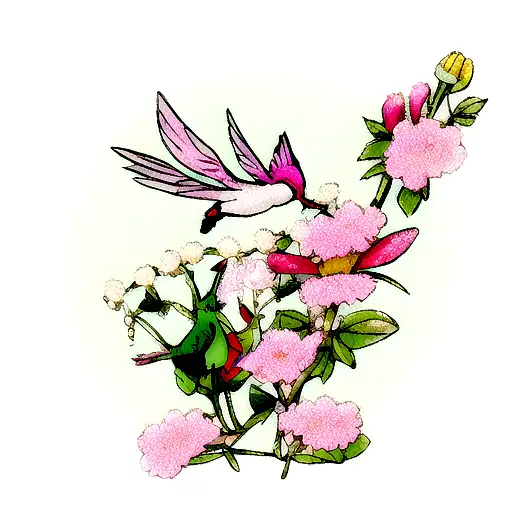 Hummingbird And Flower