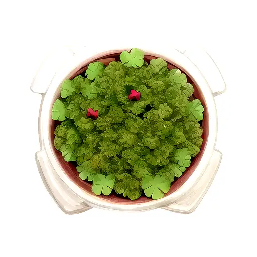 4 Leaf Clover With Initials In Each Leaf