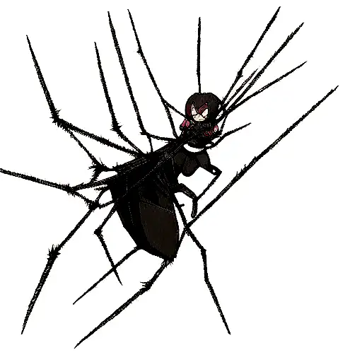 Black Spider Pulling A Web Leaning On A Cobweb