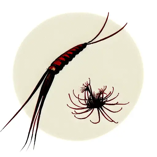 Red Spider Lily With A Centipede