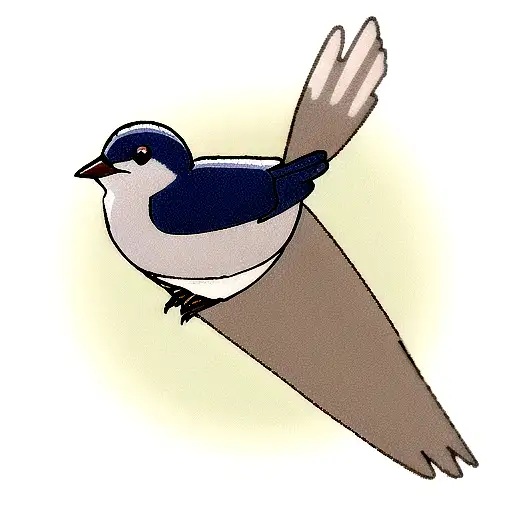 Swallow Bird