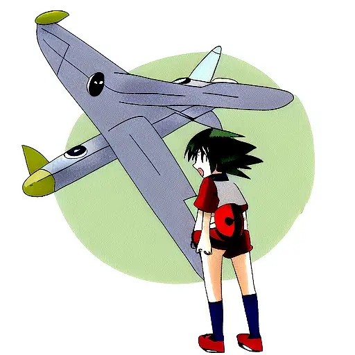 Pokemon And Airplanes Sleeve