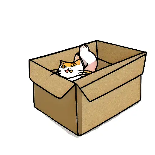 Cat In Box