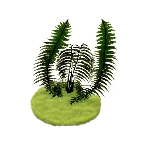 Fern Tree