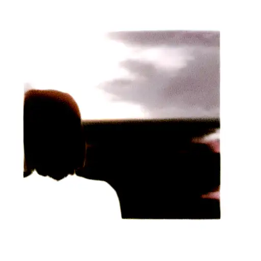 A Person Looking Sunset