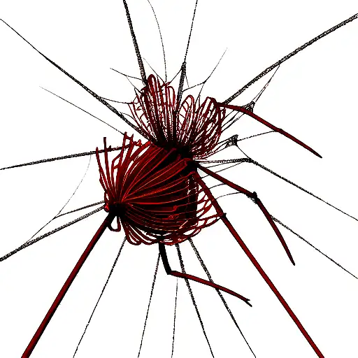 Red Spider Lily With Centipede Wrapped Around Stem