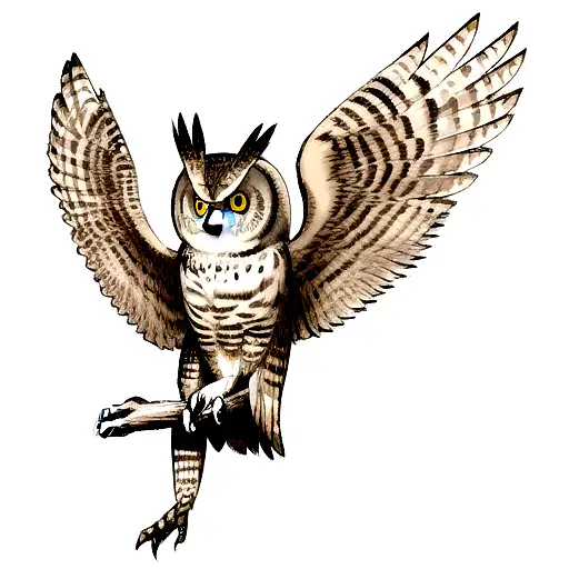 Owl