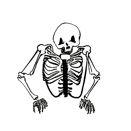 Skeleton