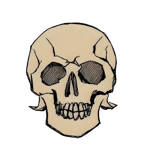 Skull