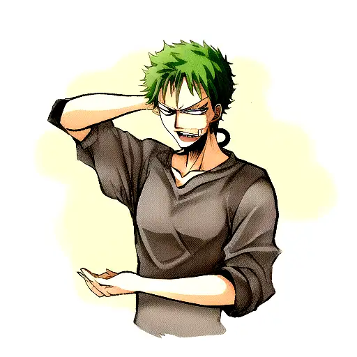 Zoro From One Piece As A Cat