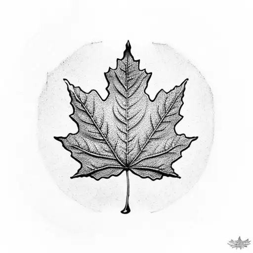 A Detailed Maple Leaf With Veins Forming A Labyrinth Pattern