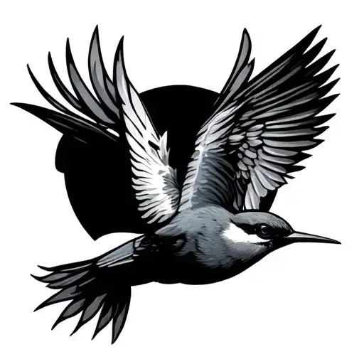 Haiti Island Humingbird