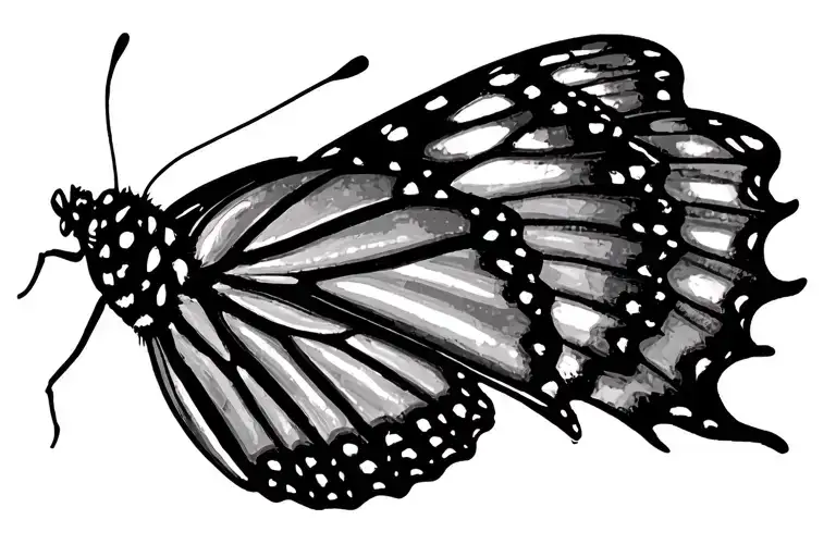 Fine Line Tatto Of A Butterfly Side View