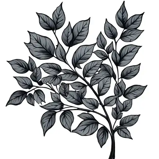 Plant Vine That Has Leaves Representing Family Members