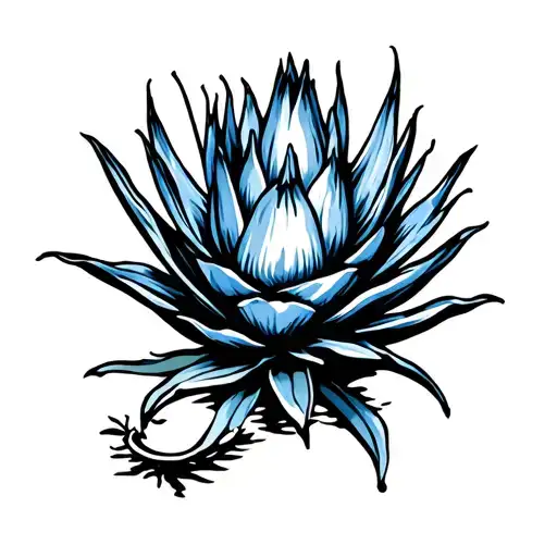 Blue Agave With Tequila Background