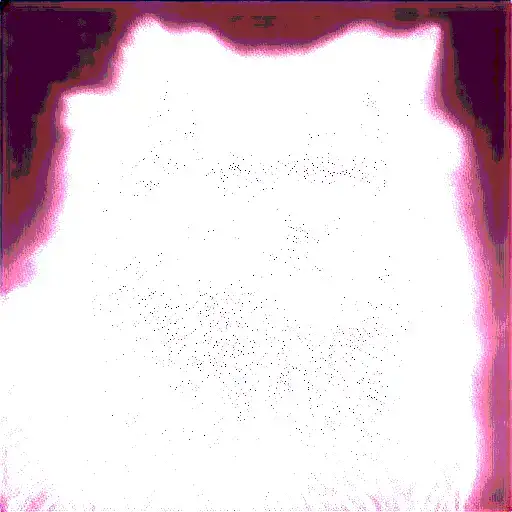 Ruffed Grouse Hunting Dog